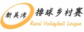 新英湾排球乡村赛
